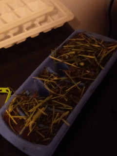 A picture of Guinea pig cube treats.