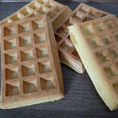 A picture of Waffles.