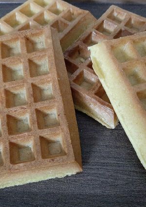 A picture of Waffles.