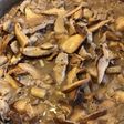 Poêlée de champignons shiitake à la crème et poitrine de porc