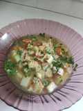 Sopa cultivateur de Alexis