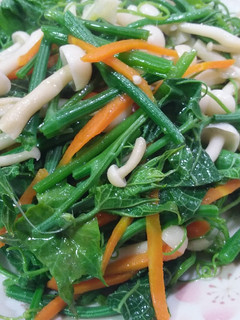 龍鬚菜炒美白菇 的食譜成品照片