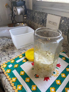 Foto de Molho de cebola para lanches ou churrasco