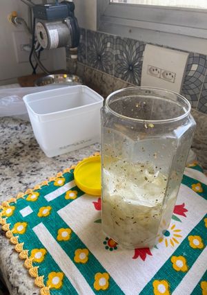 Foto de Molho de cebola para lanches ou churrasco