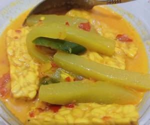 Cara Memasak Cepat Sayur tempe labu Siam Paling Enak