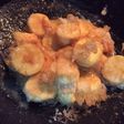 Tofu Telur Asin