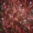 பீட்ரூட் பொரியல்(beetroot poriyal recipe in tamil)