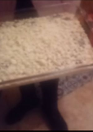 Una foto de Coca de mollitas con chocolate