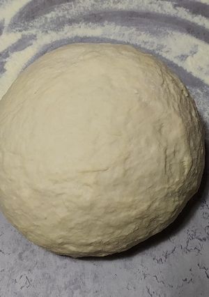 A picture of Quick Pizza Dough with Active Dry Yeast.