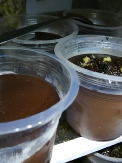 Foto resep Puding Cokelat 'ngawur' 🤭