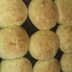 A picture of Plain buns.