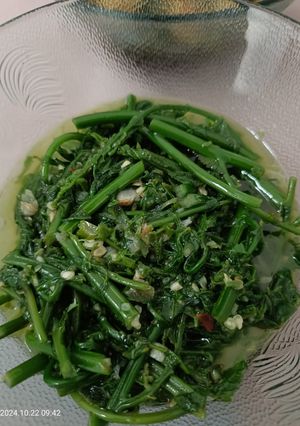 Foto resep Tumis Pakis Hijau