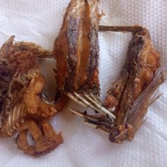 A picture of Fried Fish.