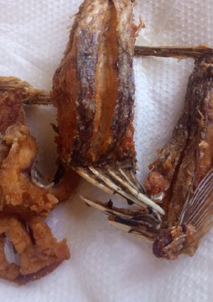 A picture of Fried Fish.