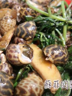『沙茶鳳螺』15分鐘完成台灣美味經典熱炒 的食譜成品照片