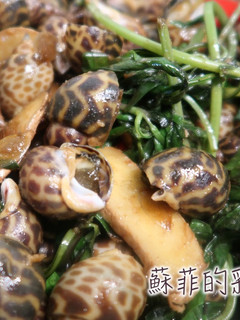 『沙茶鳳螺』15分鐘完成台灣美味經典熱炒 的食譜成品照片