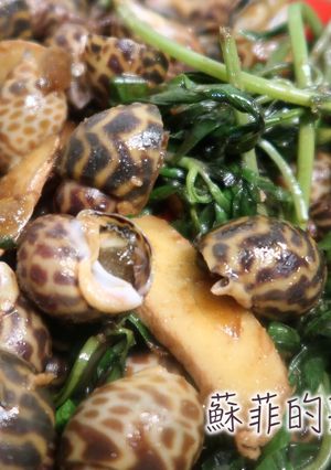 『沙茶鳳螺』15分鐘完成台灣美味經典熱炒 的食譜成品照片