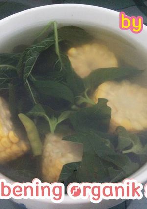 Foto resep sayur bening organik simpel 😘