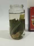Infused Jahe Pandan