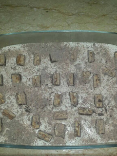 صورة لوصفة حلى سنيكرز