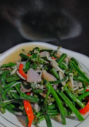 Foto resep Tumis pakis