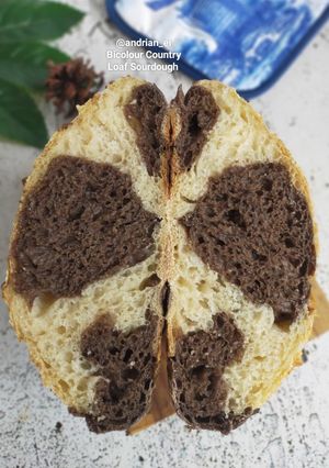 Foto resep Bicolour Country Loaf Sourdough
