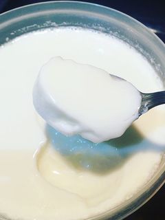Foto resep Bibit yogurt homemade (tanpa yogurt maker)