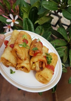 A picture of Crispy veg spring rolls.