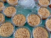 Gambar puding gula merah cup