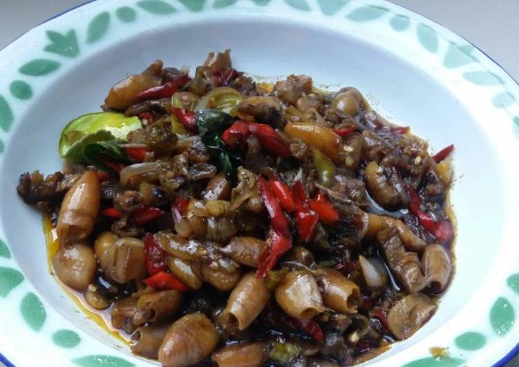 Resep Tumis Baby Cumi Pedas Manis Yang Renyah
