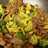 Homemade Beef and Broccoli