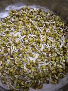 முளைகட்டிய பச்சைப் பயிறு (how to sprouts at home) செய்முறை முக்கிய புகைப்படம்