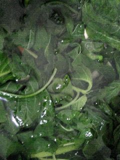Foto resep Sayur bayam segar