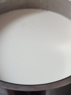 عکسی از دستور ماست با شیر بز 😋