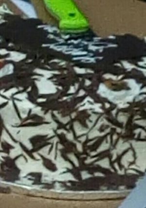 A picture of Black forest.