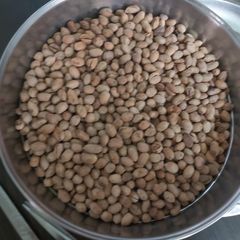 A picture of Khaari Sing.