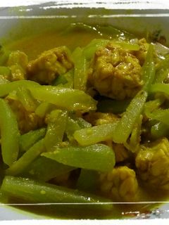 Foto resep Sayur Tempe Labu Siam