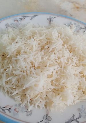 A picture of بوائل رائس.