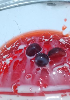 Una foto de Gelatina
