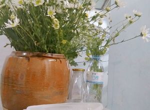 Hình của món Eatclean Ức gà xào ớt chuông hành tây.