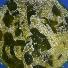 A picture of Green soup with Kulith.