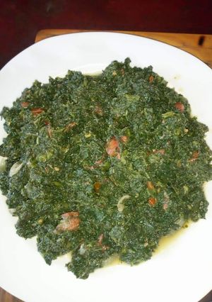 A picture of Sheveve.