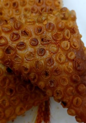 عکسی از دستور سمبوسه