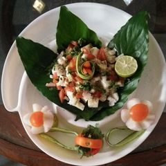 A picture of Paneerchat.