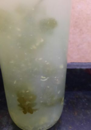 Una foto de Limonada refrescante