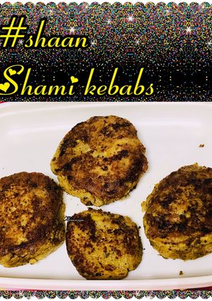 A picture of Shaan shami kebabs.