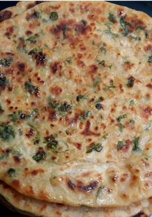 ગાર્લીક પરાઠા (Garlic Paratha Recipe in Gujarati) રેસીપી મુખ્ય ફોટો