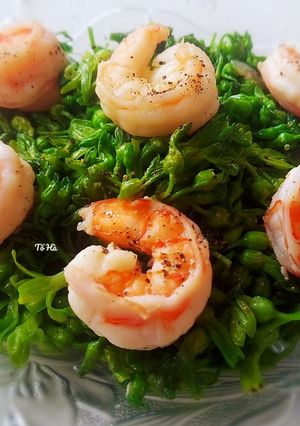 Hình của món Bông THIÊN LÝ xào tôm.