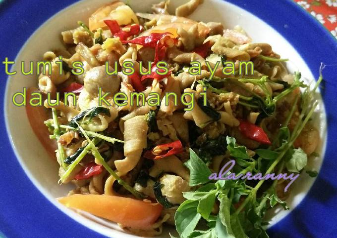Resep Tumis usus ayam daun kemangi, Sempurna