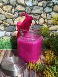 Dragon Fruit Smoothie
